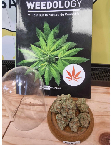 Ice Kush Indoor Fleurs CBD 2 grammes