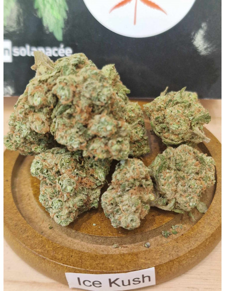 Ice Kush Indoor Fleurs CBD 5 grammes