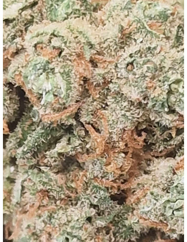Ice Kush Indoor Fleurs CBD 10 grammes