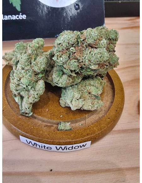 White Widow Fleurs CBD 2 grammes