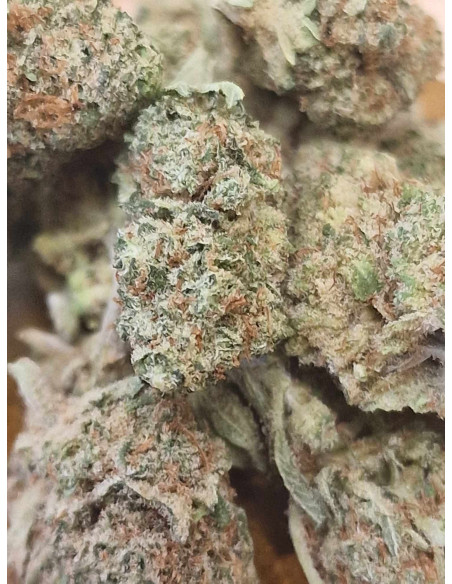 Lemon OG Candy Medium Bud Fleurs CBD 3 grammes