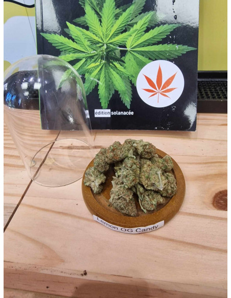 Lemon OG Candy Medium Bud Fleurs CBD 5 grammes + Sucette EUPHORIA