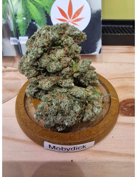 Mobydick Fleurs de CBD 10 grammes + 10 grammes de TRIM Premium Offerte
