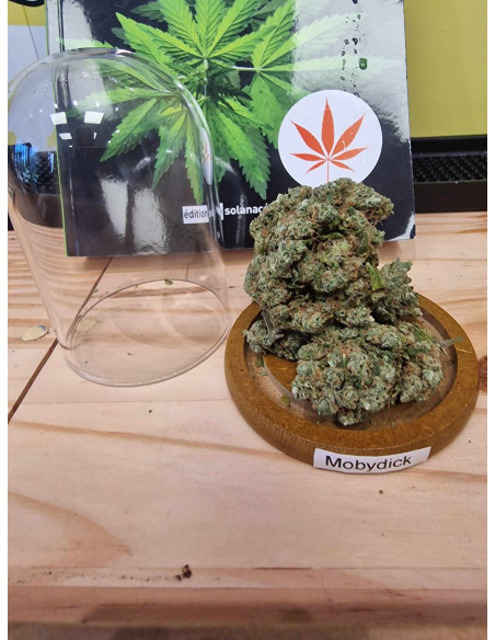Mobydick Fleurs de CBD 10 grammes + 10 grammes de TRIM Premium Offerte
