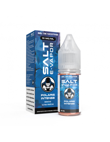 Menthe Intense 10ml Salt E-Vapor