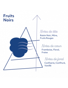 Fruits Noirs 10ml Sense 2