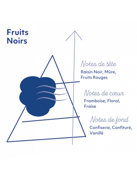 Fruits Noirs 10ml Sense