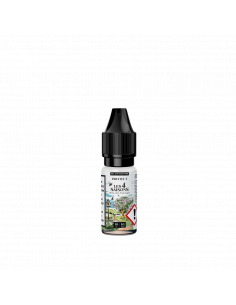 Pêche Litchi Fruits Rouges Sels 10ml Protect