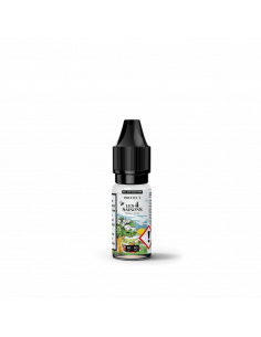 Mangue Ananas Sels 10ml Protect