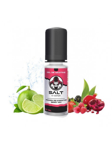Frozen Re-Animator Berry Mix Salt E-Vapor