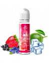 Polaris Berry Mix - Shortfill